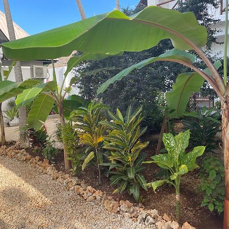 Daniel Zanzibar Hotel ナングウィ エクステリア 写真