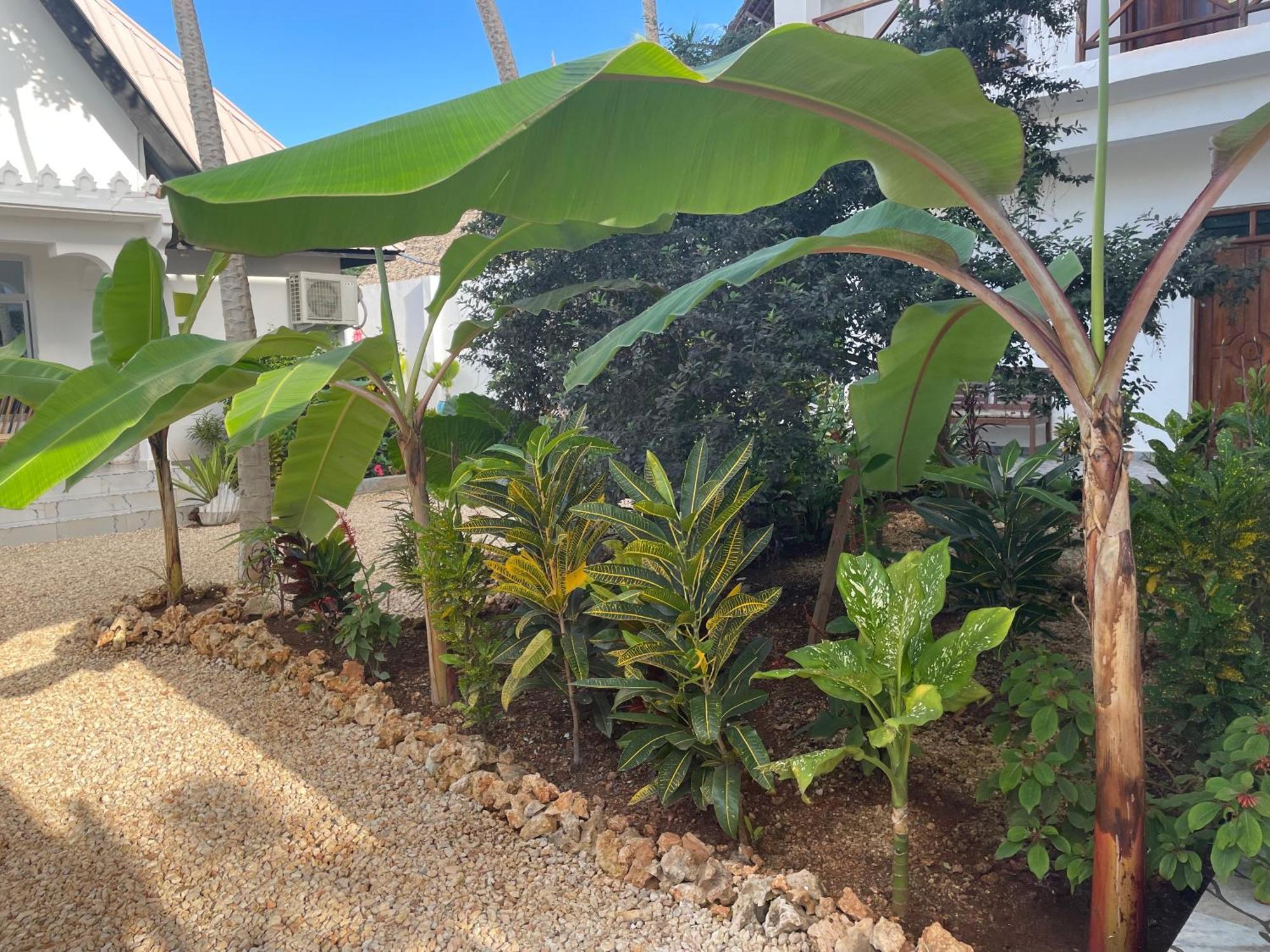 Daniel Zanzibar Hotel ナングウィ エクステリア 写真